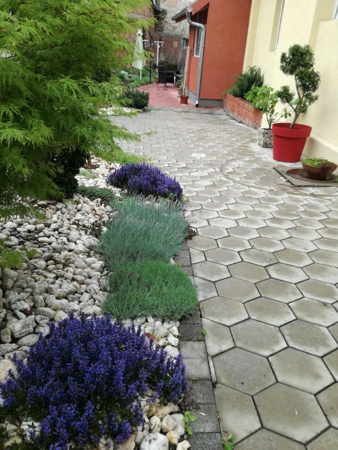Apartman Centar Krusevac Ngoại thất bức ảnh